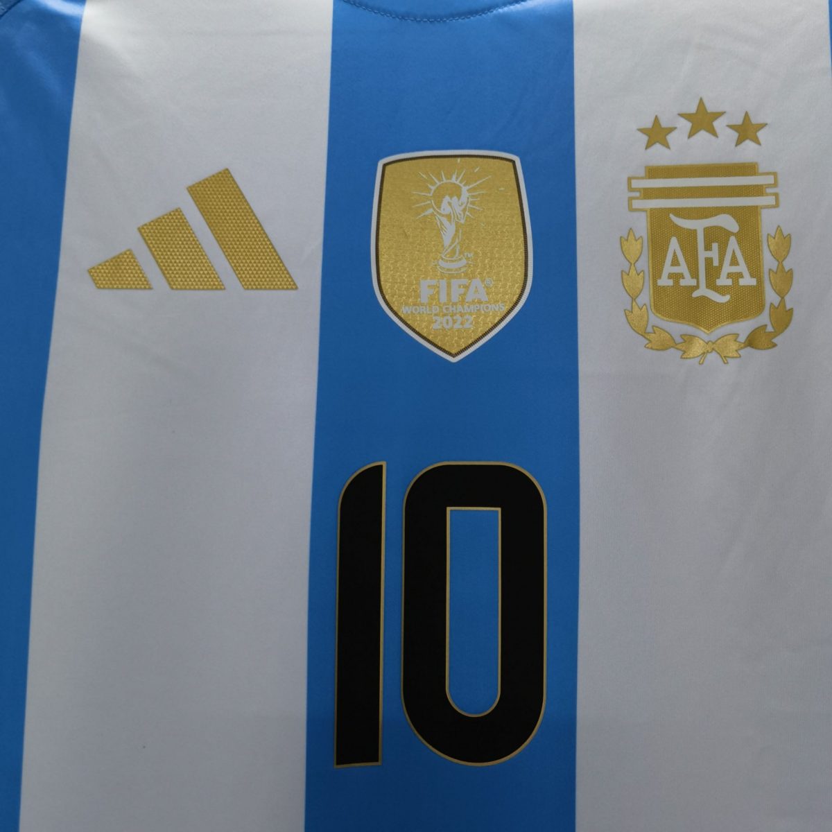 Camiseta Selección Argentina Copa América 2024 - Imagen 5