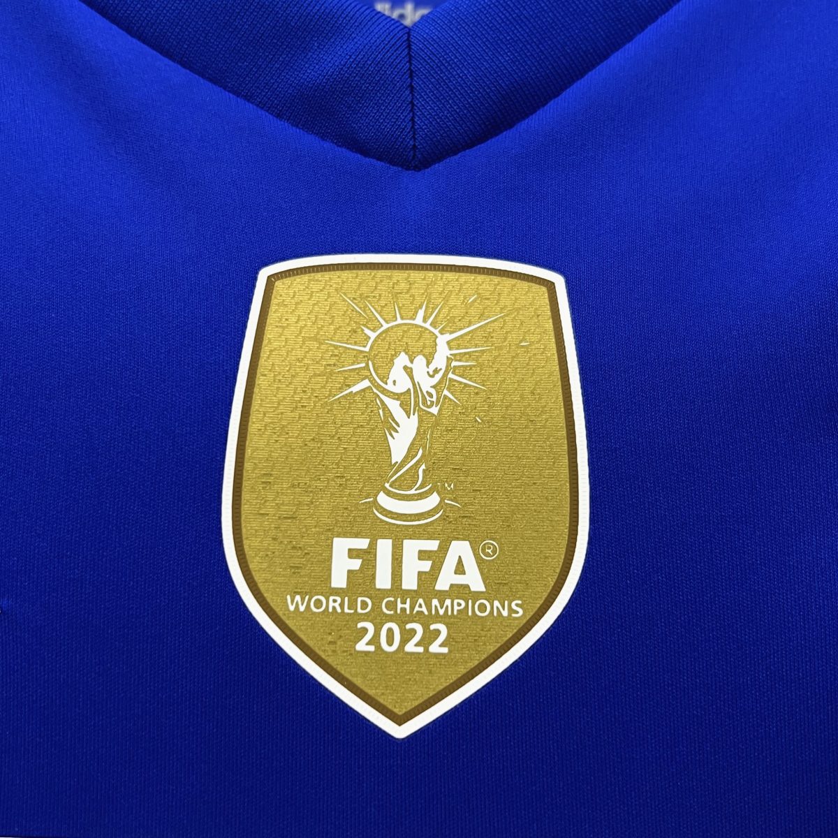 Camiseta Selección Argentina Copa América 2024 - Imagen 4