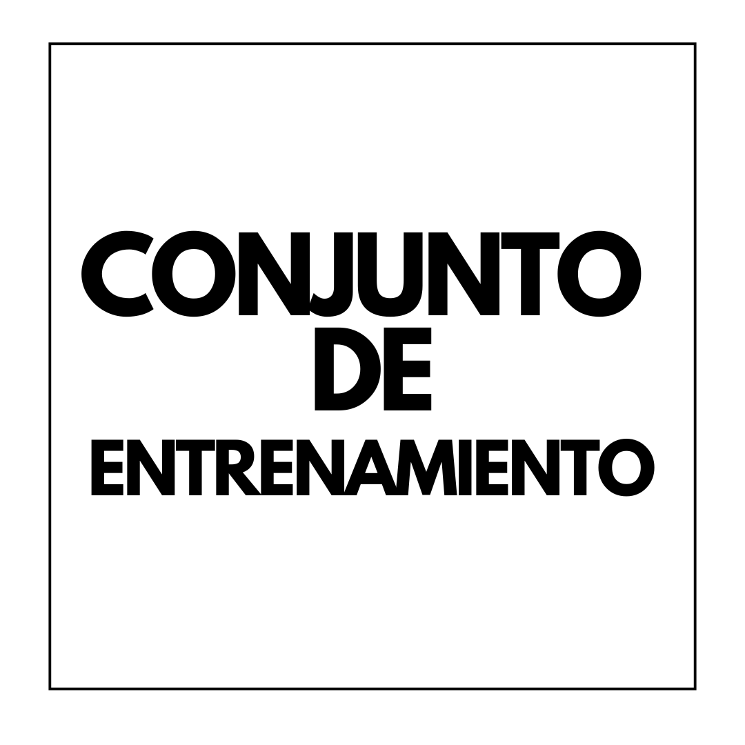 Conjuntos de Entrenamiento